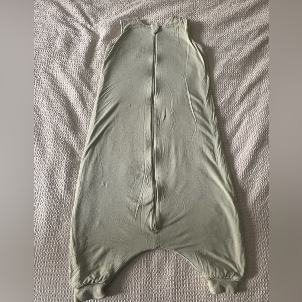 Kyte Baby Sleep bag Walker!